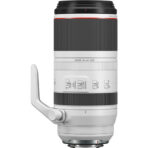 Canon RF 100-500mm f/4.5-7.1 L IS USM Lens - Image 4