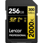 Lexar 256GB SDXC professional memory card