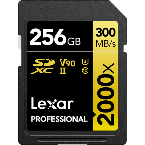 Lexar 256GB SDXC professional memory card