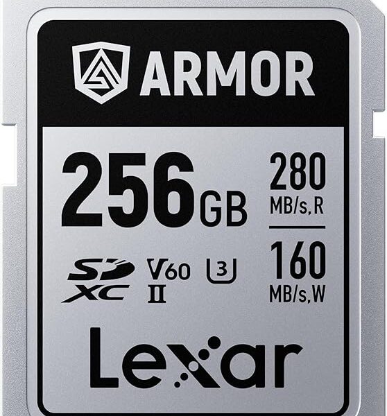 Lexar Armor Silver Pro 256GB UHS-II SDXC memory card