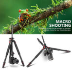 Neewer N284L+G0 Tripod