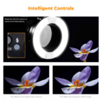 K&F Concept KF150 Macro Ring Flash KF22.005