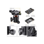 K&F Concept Camera Tripod Ball Head with Quick Release & Spirit Level (KF31.029V3)