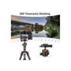 K&F Concept Camera Tripod Ball Head with Quick Release & Spirit Level (KF31.029V3)