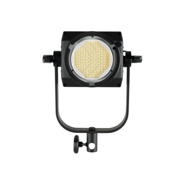 Nanlite FS-300 Daylight LED Monolight