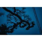 Sigma 17-40mm f/1.8 DC Art Lens (Sony E) - Image 5
